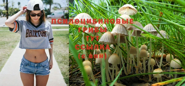 спайс Алзамай