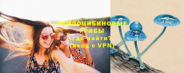 круглые Алексеевка