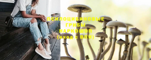 спайс Алзамай