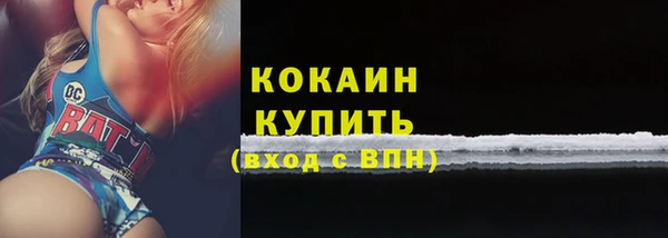 спайс Алзамай