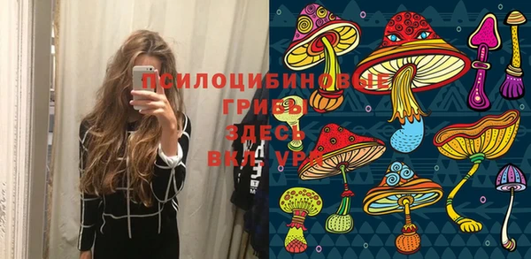 спайс Алзамай