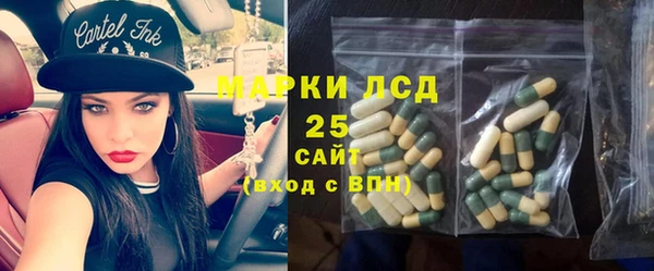 спайс Алзамай