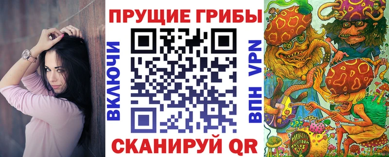 Псилоцибиновые грибы прущие грибы  Сортавала 